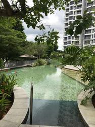 The Estuary (D27), Condominium #153323722